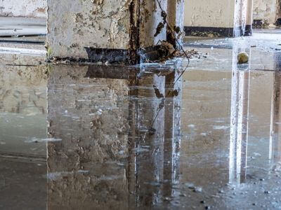 About Altadena CA Mold Remediation Pros - mold remediation experts in Altadena